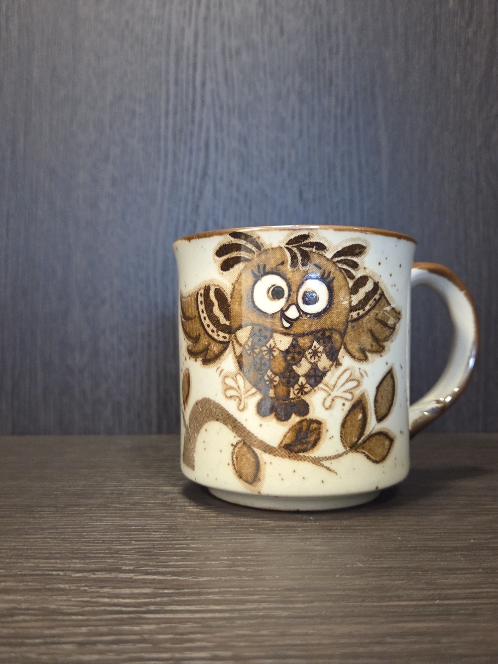 RARE!! 1970s Otagiri FUNKY GROOVY Owl Ceramic Mug in Brown and Cream